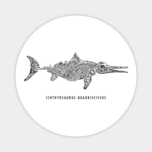 Ichthyosaurus Quadriscissus skeleton illustration Magnet